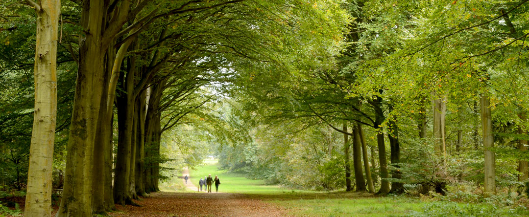 Victory V at the Felbrigg Estate